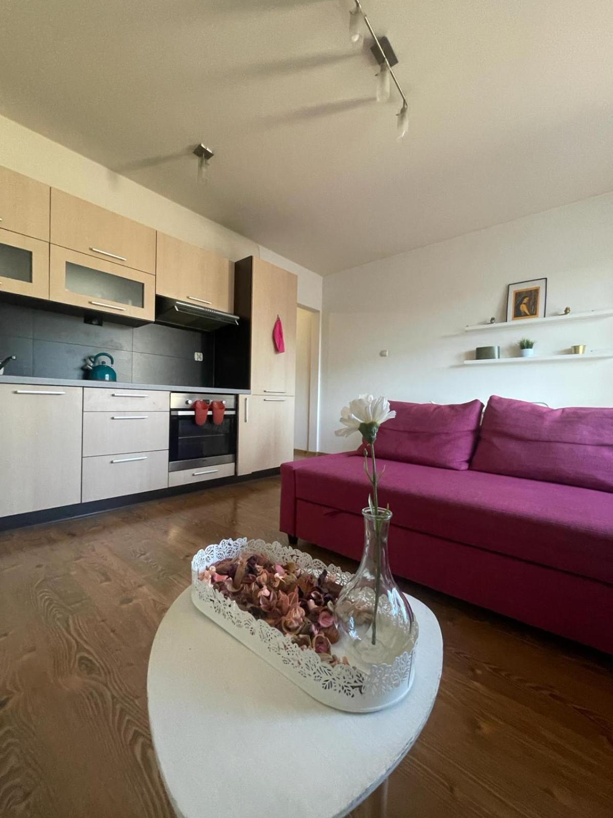 Przystan Dolnych Mlynow Apartamento Cracóvia Exterior foto